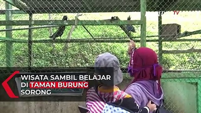 Wisata Sambil Belajar di Taman Burung Sorong
