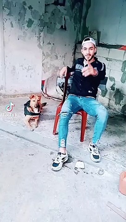 سماع قال صاحب كلب يوفيلك .. حالات واتس اب