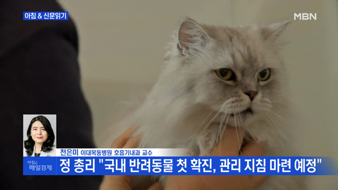 신문브리핑1 "보호자 확진 뒤 고양이 양성"외 주요기사
