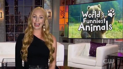 Worlds Funniest Animals S01E04 (4th October 2020)