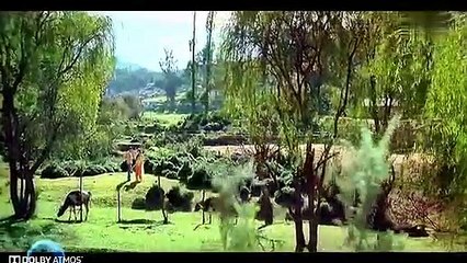 Dil_Ke_Badle_Sanam_(Full_Song)_Film_-_Kyon_Ki_...It'S_Fate(360p)