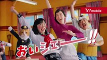 バラエティー 動画 まとめ - バラエティ 動画 japan - おしゃれイズム    動画 9tsu   2021年01月20日
