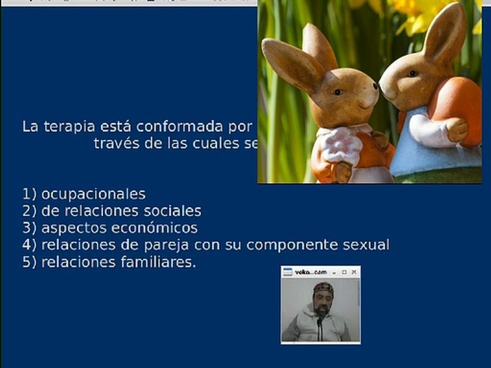 Terapia familiar en la esquizofrenia 6, terapia psico social.