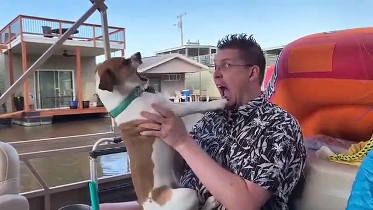 Funny Animals Reaction- Try Not To Laugh Dogs With Baby - Funny Video