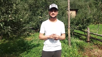 How to Do Chakra Asana or Wheel Pose!! For Beginners!! in Hindi !!