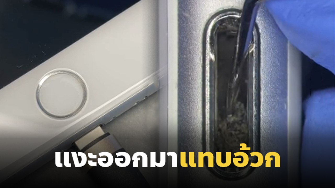 อึ้ง ! รูชาร์จโทรศัพท์ที่เสียบทุกวัน สยองกว่าที...