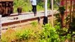 Loco Pilot Stops Train To Save Two Cows Standing On The Railway Track