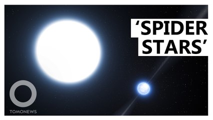 Astronomers Find 'Spider Stars' That Devour Their Companions