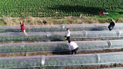 Korona virüsün stresini burada atıyorlar