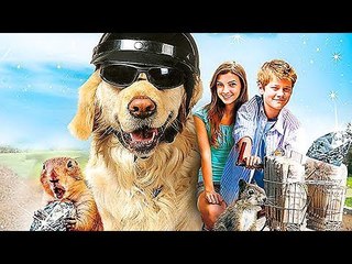 Les Folles Aventures d'un Chien Millionaire - FILM COMPLET en Français