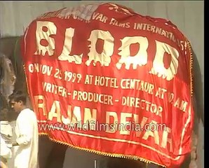 An elephant at the mahurat of Bollywood's shelved movie 'Blood'