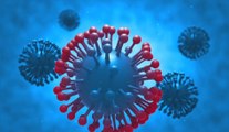 La colchicine,  un anti-inflammatoire, réduit le risque de complications liées au coronavirus, selon une étude.