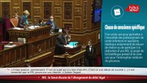 IVG : le Sénat discute de l'allongement du délai légal - Les matins du Sénat (22/01/2021)