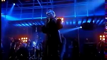 Alain Bashung reprend "Les mots bleus" de Christophe
