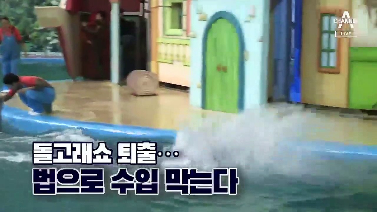 [뉴스 톡톡톡]돌고래쇼 퇴출…수입 막는다