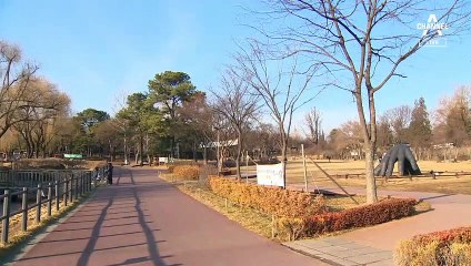 [날씨]내일 곳곳 비소식…밤부터 중국발 스모그 유입