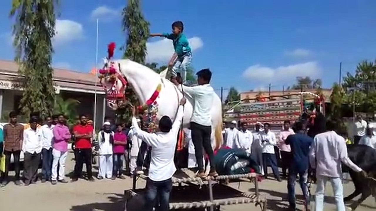 ब्रास_बॅंड_पे_घोडोंका_तुफानी_डांस_|_घोडयांचा_कावडी_डांस_|_Horse_dance_performance_in_marriage_party(360p)