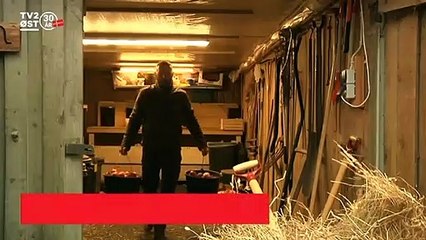 Øens dyr savner kontakt fra mennesker | Dyrene savner selskab | Masnedø | 03-01-2021 | TV2 ØST @ TV2 Danmark