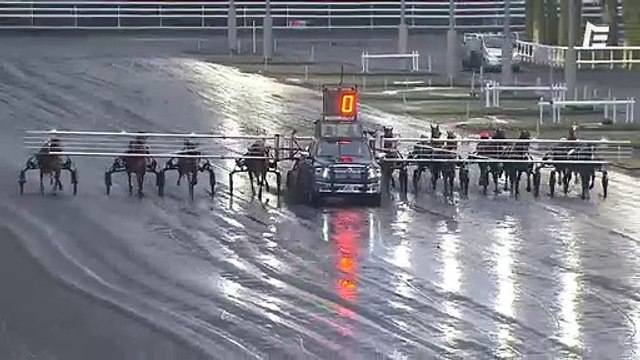 Catastrophe évitée de peu sur l'hippodrome de Vincennes