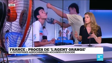 France : 14 entreprises agrochimiques accusées d'écocide dans le procès de "l'Agent Orange"