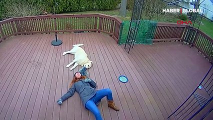 Sahibinin şapkasını oyuncak sanınca ortalık karıştı