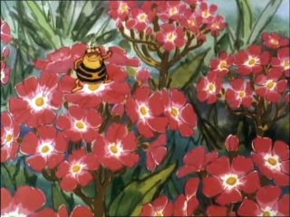 La Abeja Maya - 1x30. Un viaje en botella