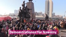 Zehntausende demonstrieren für Nawalnys Freilassung