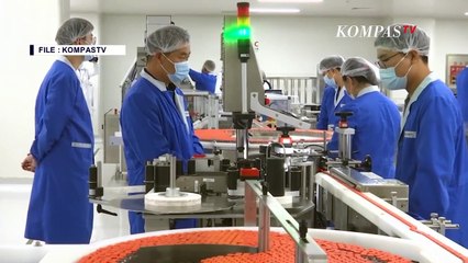 Kadin Siapkan Berbagai Opsi untuk Mendapatkan Vaksin Mandiri bagi Karyawan