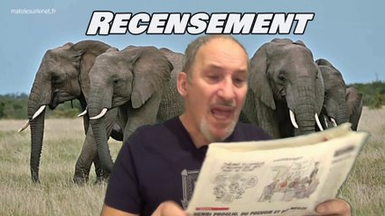 Des scientifiques vont recensés les éléphants d'Afrique.