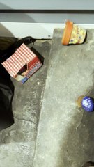 Woman Finds Who Got into the Food