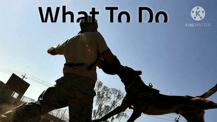 What to do after Dog Bite? In Hindi || Rabies Management