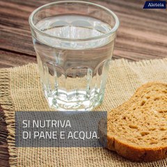 Santa Germana: la patrona delle vittime di Bullismo