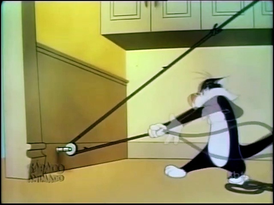 O Melhor de Piu Piu e Frajola #1