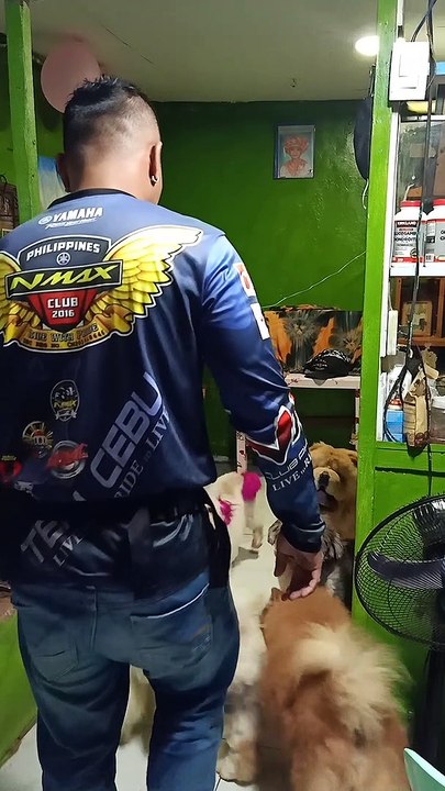 Pet Groomer Coming Home Gives His Dogs Lots of Love