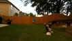 Dog Faceplants To Ground As Another Dog Jumps Over Them While Chasing Ball