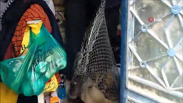 Yavru köpeklere tecavüz ettiği iddia edilen şahıs, polis tarafından gözaltına alındı