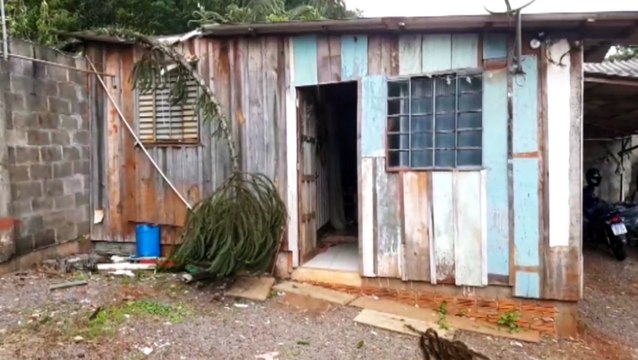 Galhos de Araucária caem e telhado de residência fica destruído no Bairro Cataratas