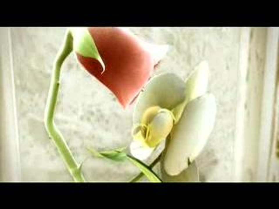 Orchid and the Rose