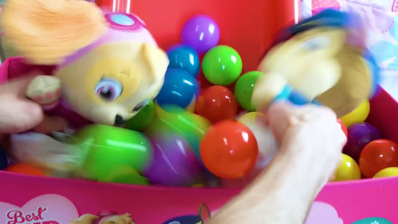 Video Educativo para Niños! Juguetes Paw Patrol Skye y Chase!