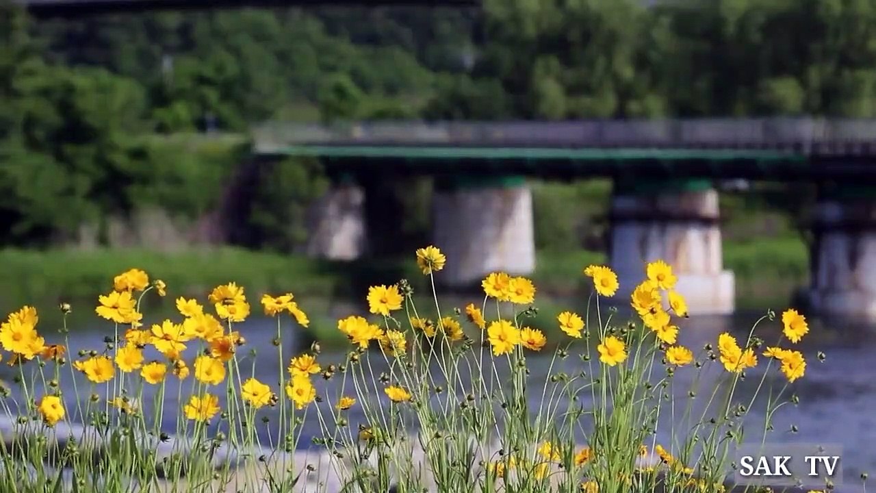 When and Where The Railway Engine Invented __ Documentary _Syed Amin Khan Tv._HD