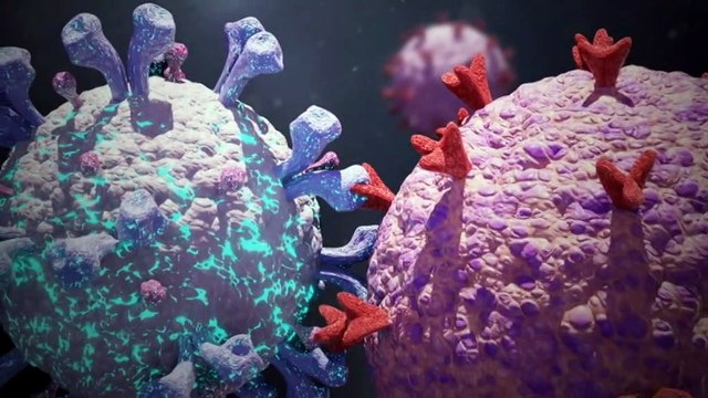 Australia's COVID-19 vaccines explained