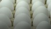 Are Eggs Actually Bad for Your Cholesterol?
