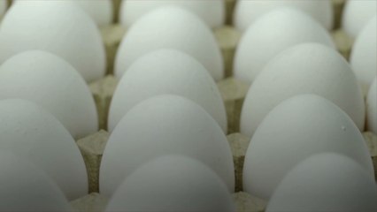 Are Eggs Actually Bad for Your Cholesterol?