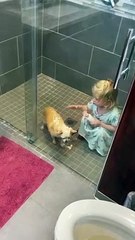 Une fillette rase la tête de son chien