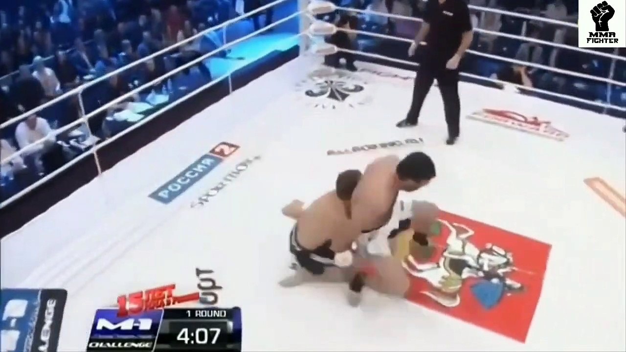 The Greatest Knockouts in MMA History - MMA Highlights