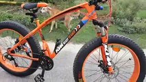 KTM Fat Bike _ Wireless Accesories _ Full Modification.. Wow  amazing bike.