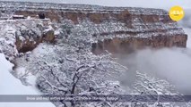 Snow and mist settles in Grand Canyon in stunning footage