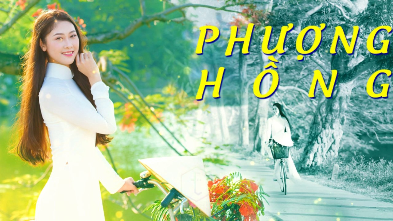 PHƯỢNG HỒNG  Karaoke #828421 (HD)