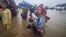 Pemerintah Akui Hutan Kalimantan Menyusut, Akibatkan Bencana Banjir Kalsel?