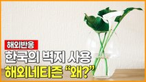 [해외반응] 한국의 벽지 사용 해외네티즌 